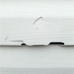 Siding Repair project example